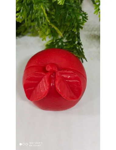 Jabón Porta Tarjetas Manzana