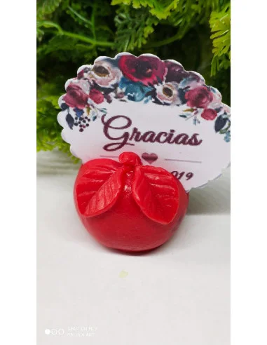 Jabón Porta Tarjetas Manzana