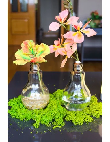 Bombilla de Cristal Decorativa