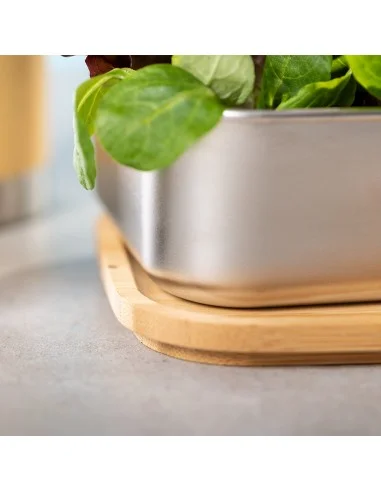 Fiambrera Sariul · Eco